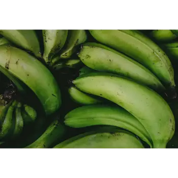 Natural Green Banana 